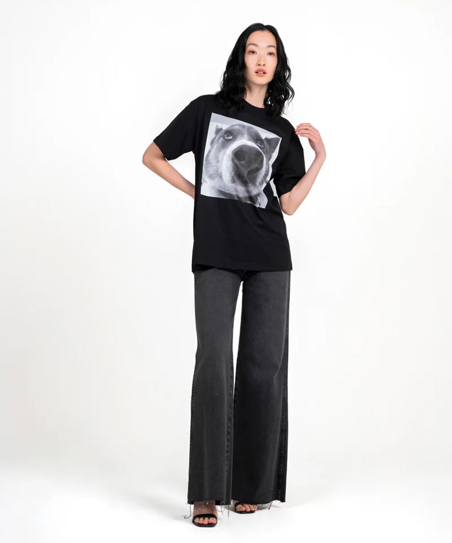 DOG PHOTO T-SHIRT STUDIO R330