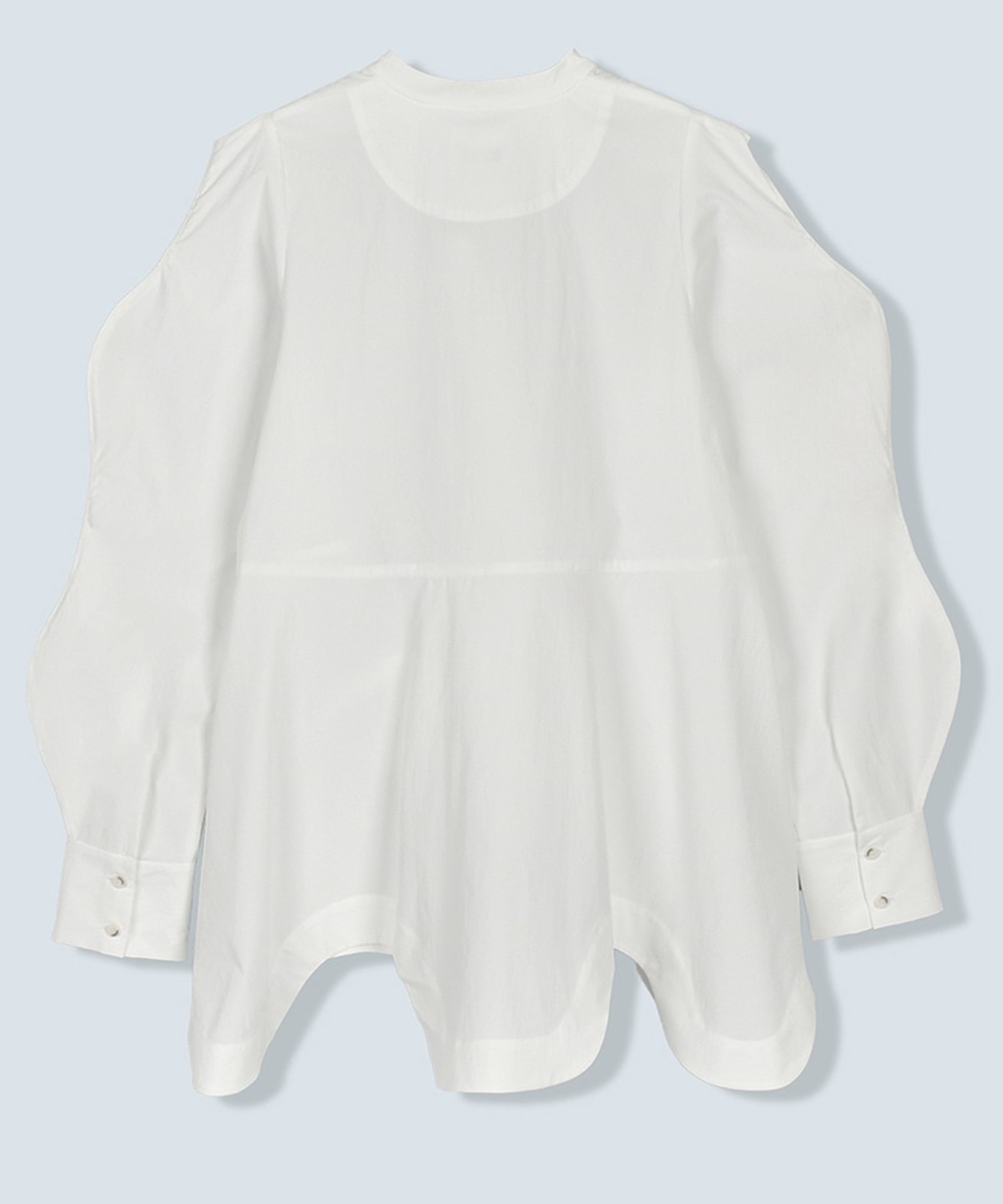 SCALLOP DETAIL SH OMMO