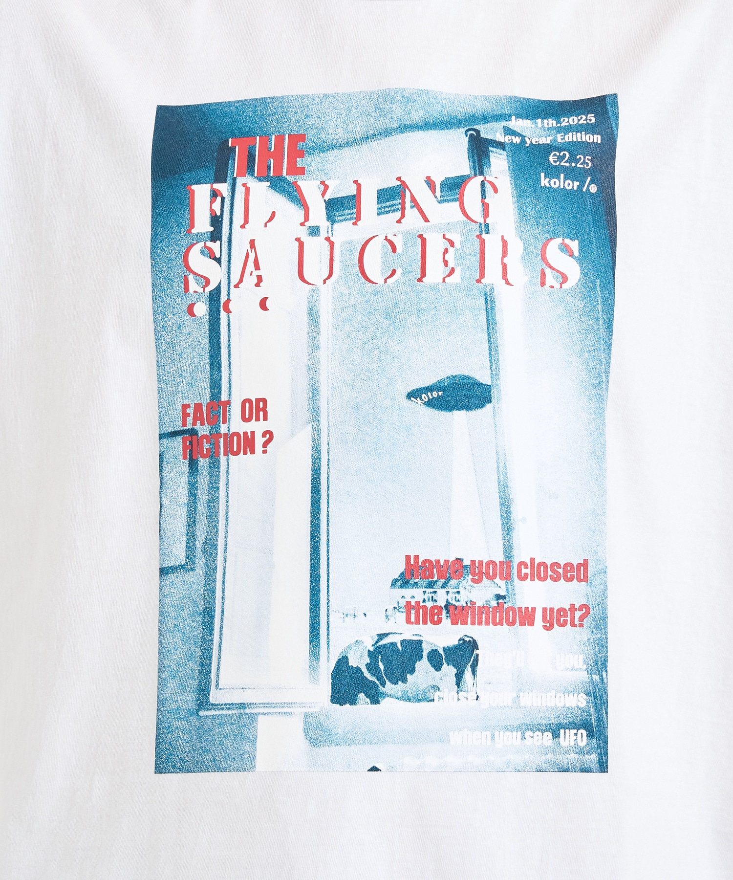 25WCM-T06204 S/S TEE FLYING kolor