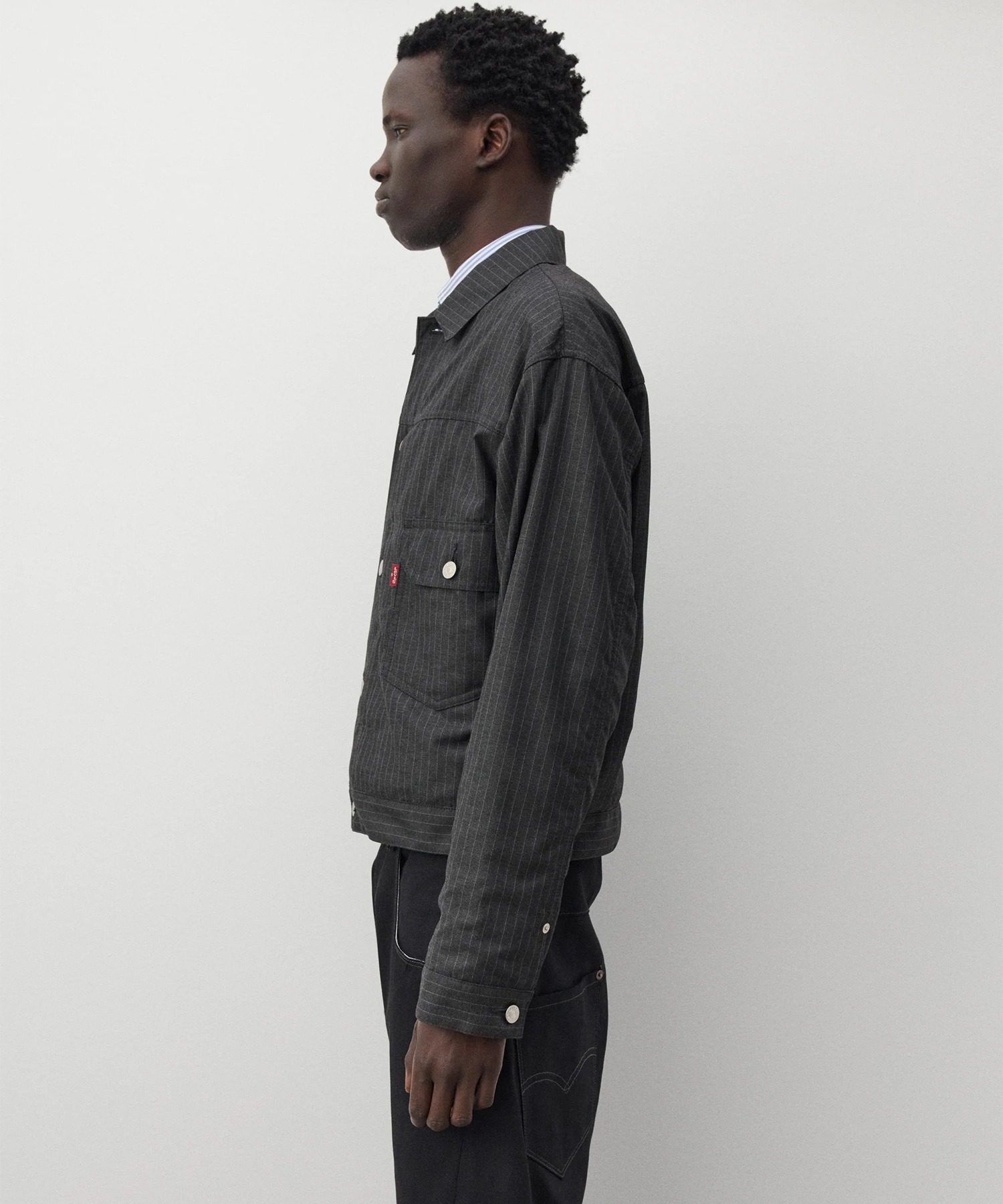 エステルビスコースストライプ Levis Wネーム 2nd Jacket JUNYA WATANABE MAN