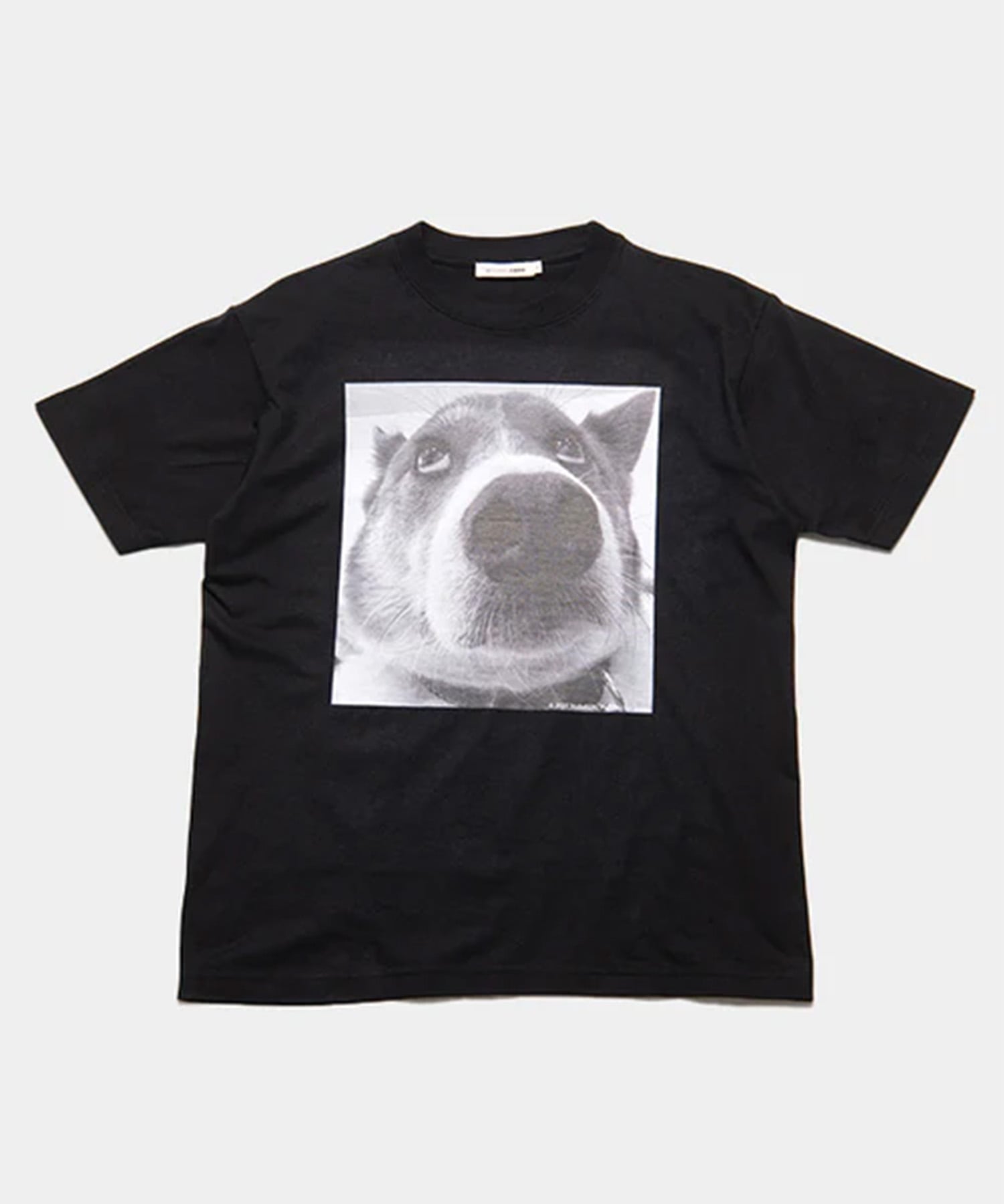 DOG PHOTO T-SHIRT STUDIO R330