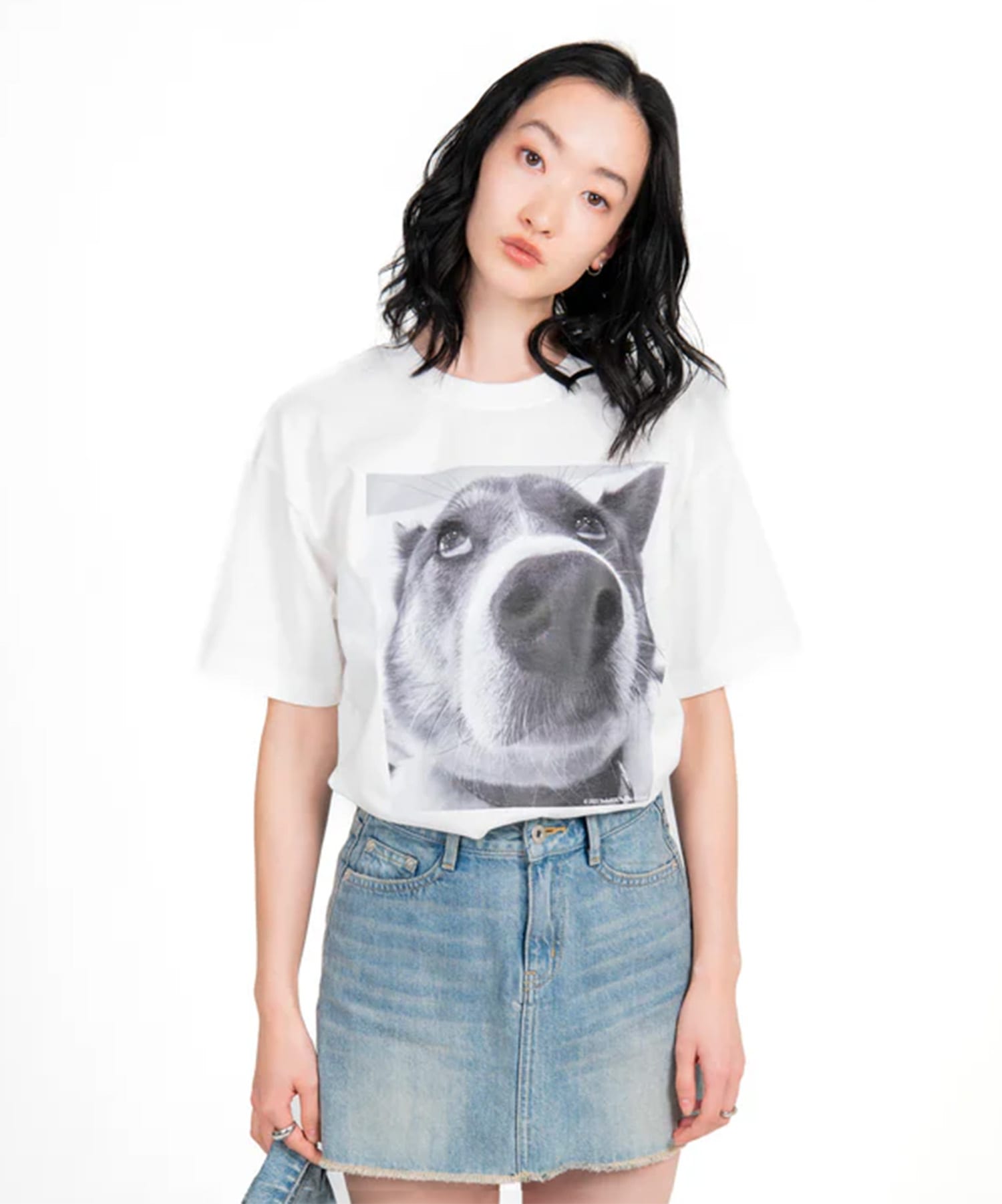 DOG PHOTO T-SHIRT STUDIO R330