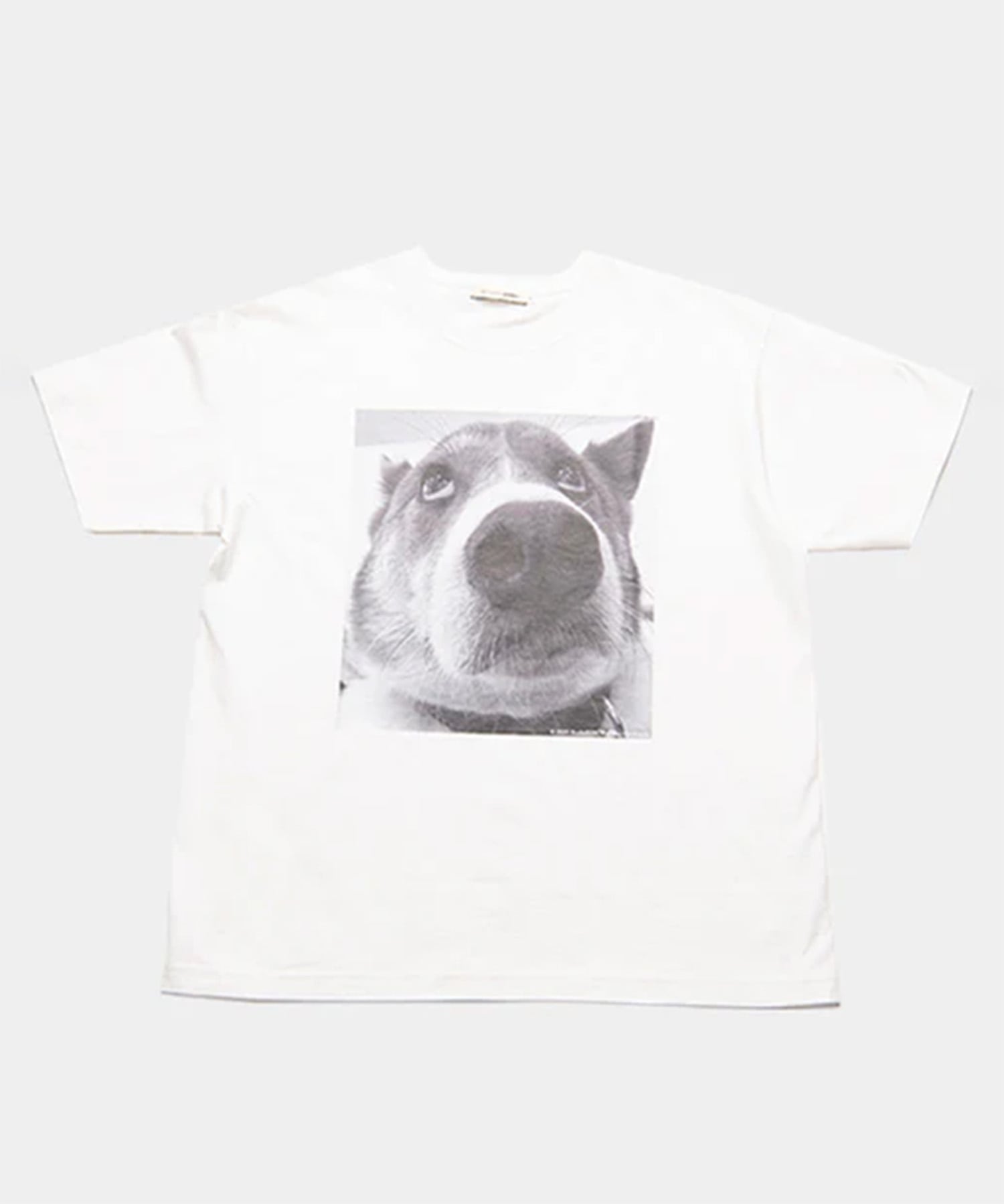 DOG PHOTO T-SHIRT STUDIO R330