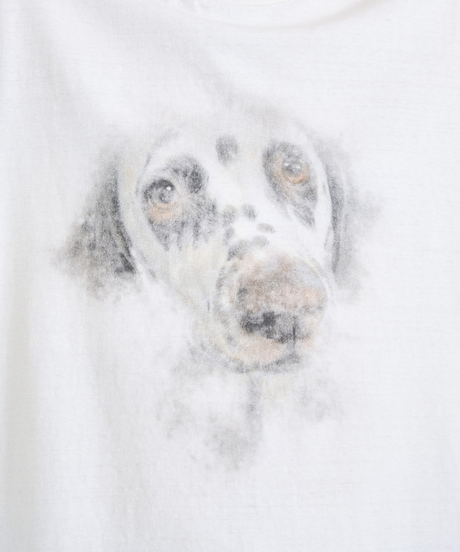 DOG PRINTED TEE Maison MIHARA YASUHIRO