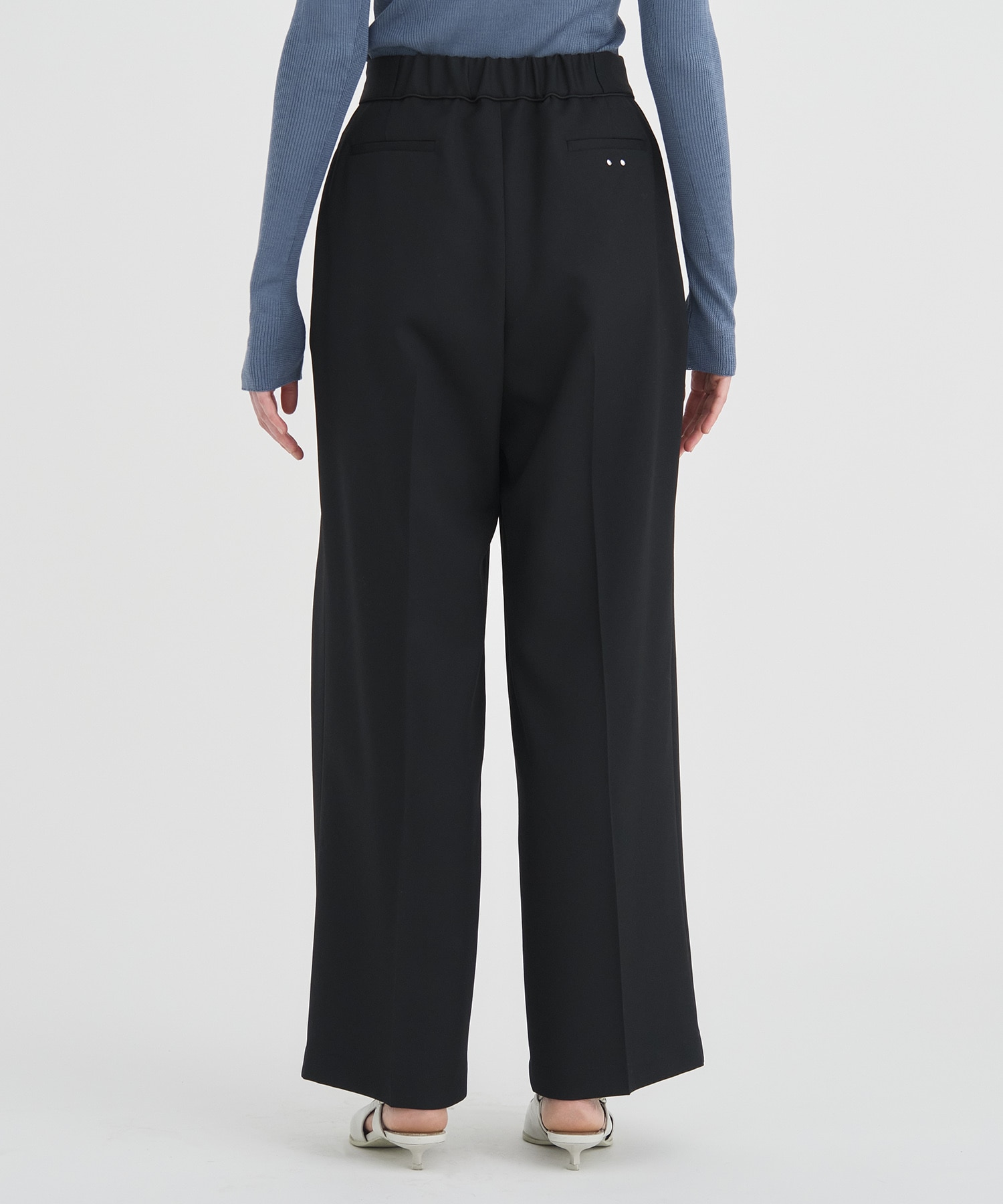 Double Tack Wide Pants RITAN
