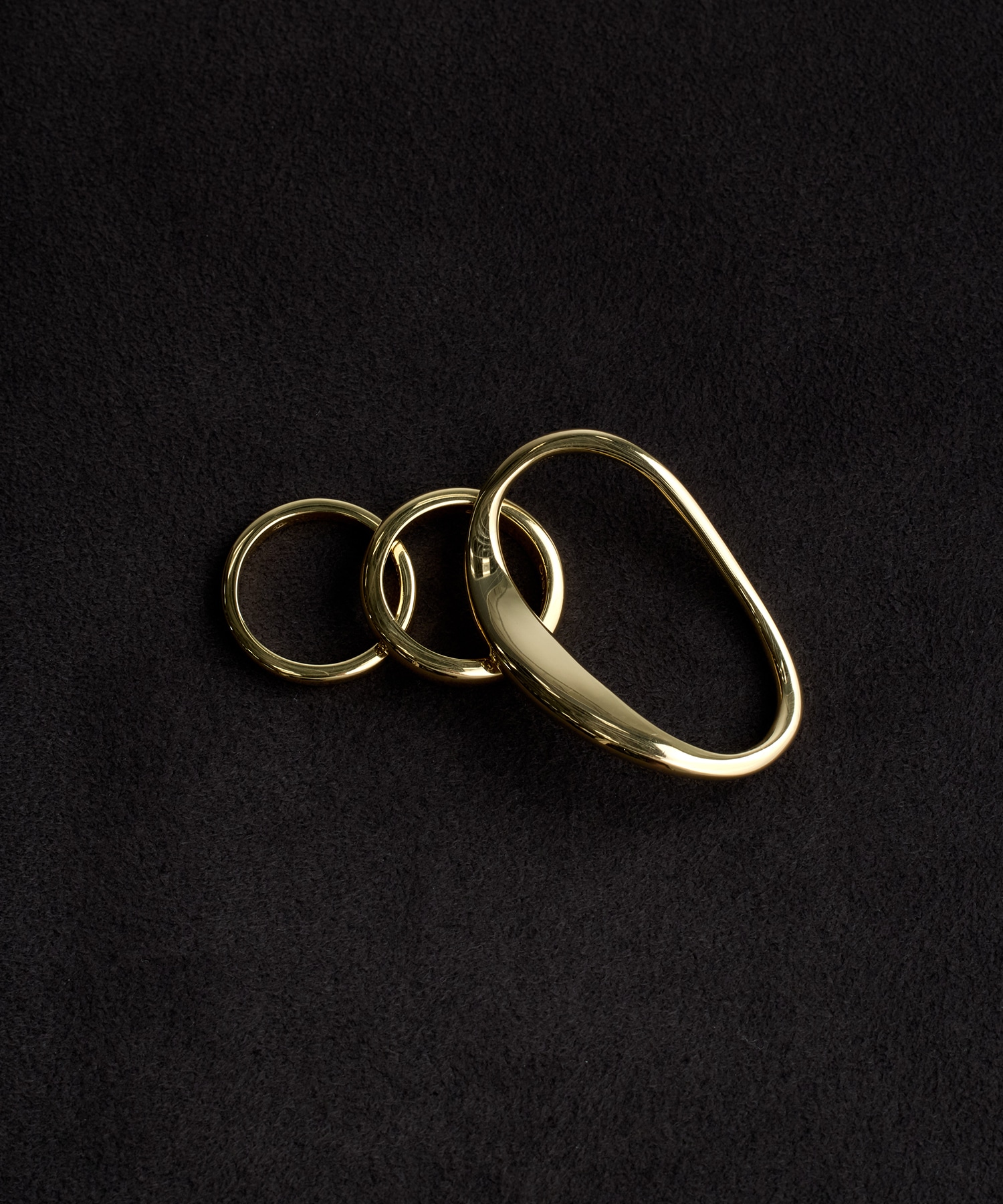 EVOLUTION RING